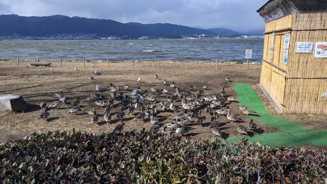 2022年立春お泊まりソロ徒歩キャン＠湖岸緑地・志那1／草津水鳥観察所