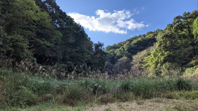 2021年秋お泊まりソロ徒歩キャン@末山・くつわ池自然公園キャンプ場/谷キャンプ場(仮称)