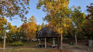 【大阪府】花博記念公園・鶴見緑地キャンプ場／2021年秋・黄葉ソロ自転車キャンプ