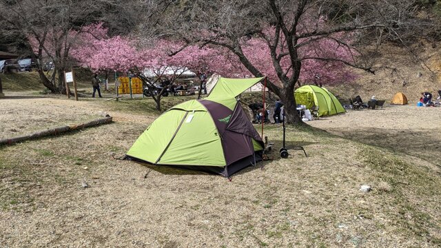 2022年花見お泊まりソロ徒歩キャン＠末山・くつわ池自然公園キャンプ場・桜