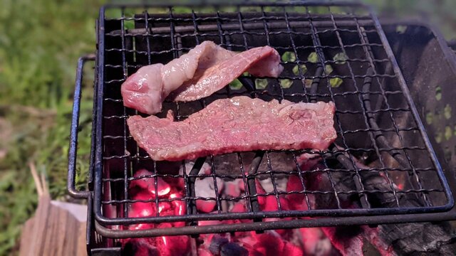 2022年初夏ソロ徒歩キャン＠湖岸緑地・志那1夕飯