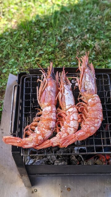 2022年梅雨前コロナ制限明けソロ自転車BBQデイキャンプ@淀川河川公園・太子橋地区/エビ