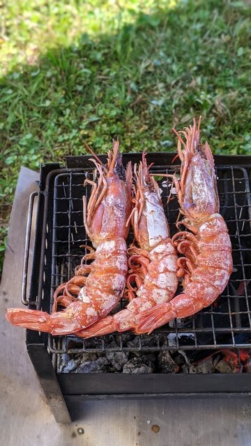 2022年梅雨前コロナ制限明けソロ自転車BBQデイキャンプ＠淀川河川公園・太子橋地区／エビ