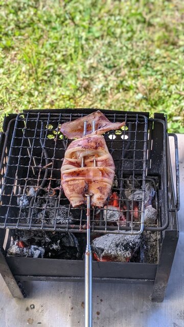 2022年梅雨前コロナ制限明けソロ自転車BBQデイキャンプ＠淀川河川公園・太子橋地区／イカ