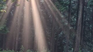 【京都府】末山・くつわ池自然公園キャンプ場／2022年夏と秋の狭間で雷雨＆霧の林間ソロ徒歩キャンプ