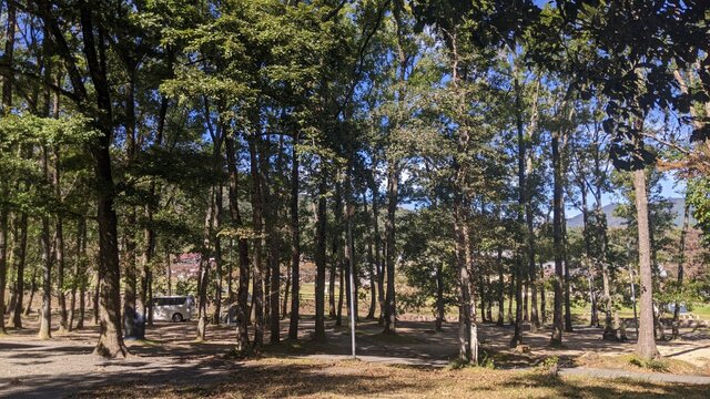 【滋賀県】マキノ高原キャンプ場(奥琵琶湖)/2022年初秋の林間ソロ徒歩キャンプ/林間サイト