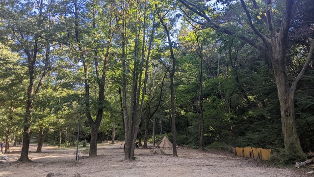 【滋賀県】マキノ高原キャンプ場（奥琵琶湖）／2022年初秋の林間ソロ徒歩キャンプ／林間サイト
