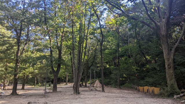 【滋賀県】マキノ高原キャンプ場(奥琵琶湖)/2022年初秋の林間ソロ徒歩キャンプ/林間サイト