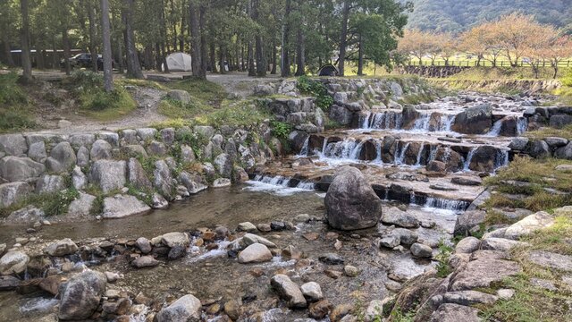 【滋賀県】マキノ高原キャンプ場（奥琵琶湖）／2022年初秋の林間ソロ徒歩キャンプ／林間サイト