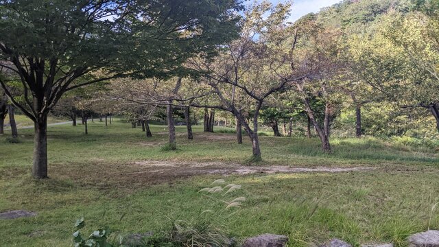 【滋賀県】マキノ高原キャンプ場(奥琵琶湖)/2022年初秋の林間ソロ徒歩キャンプ/川サイト