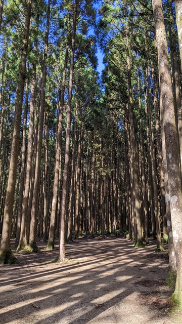 【奈良県】泉の森オートキャンプ場小広荘（天川村）／2022年初秋の林間ソロ徒歩キャンプ／小広荘