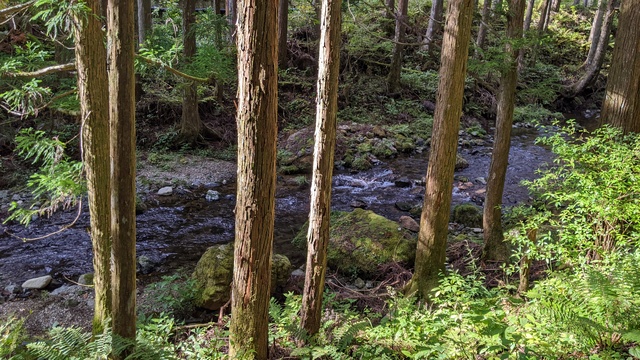 【奈良県】泉の森オートキャンプ場小広荘（天川村）／2022年初秋の林間ソロ徒歩キャンプ／小広荘