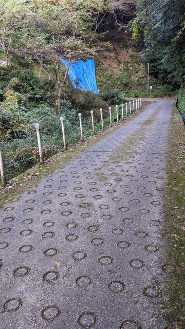 【京都府】笠置キャンプ場/2022年秋のソロ徒歩キャンプと紅葉@笠置山自然公園/笠置山自然公園