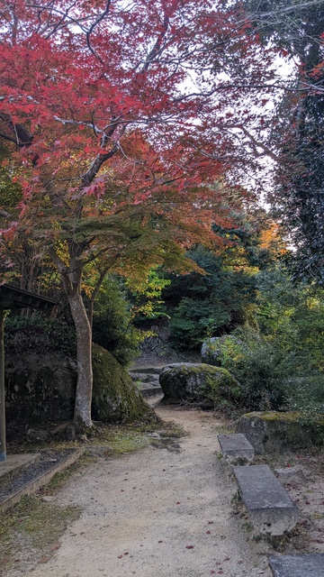 【京都府】笠置キャンプ場/2022年秋のソロ徒歩キャンプと紅葉@笠置山自然公園/笠置寺「行場めぐり」