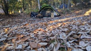 【大阪府】杜のテラス(能勢町)/2022年秋の紅葉と鹿・林間ソロ徒歩キャンプ