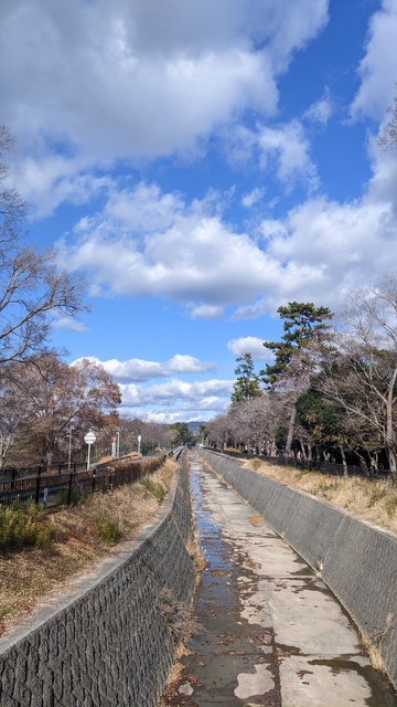 【大阪府】服部緑地／2023年正月・初BBQソロ自転車デイキャンプ／高川