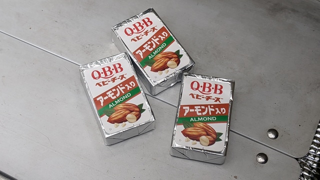 【大阪府】服部緑地／2023年正月・初BBQソロ自転車デイキャンプ／QBB