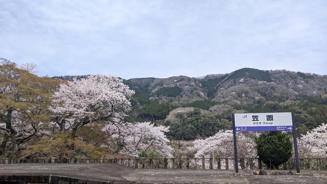 【京都府】笠置キャンプ場/2023年お花見バックパックキャンプ