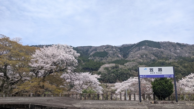 【京都府】笠置キャンプ場／2023年お花見バックパックキャンプ