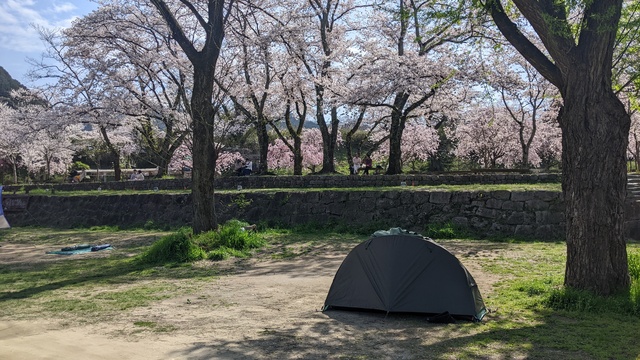 【京都府】笠置キャンプ場／2023年お花見バックパックキャンプ