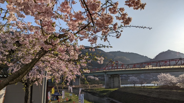 【京都府】笠置キャンプ場／2023年お花見バックパックキャンプ