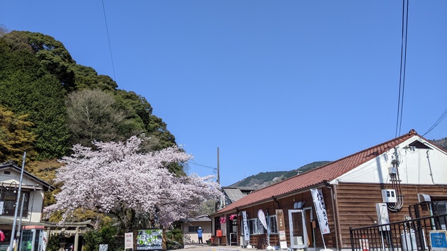 【京都府】笠置キャンプ場/2023年お花見バックパックキャンプ