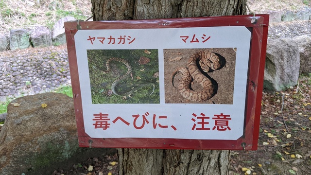 【兵庫県】知明湖キャンプ場（川西市）／2023年炎暑のバックパック徒歩キャンプ