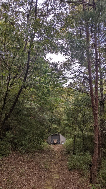 【京都府】末山・くつわ池自然公園キャンプ場／2023年初秋のブッシュクラフト徒歩キャンプ