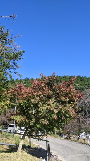 【京都府】末山・くつわ池自然公園キャンプ場／2023年初秋のブッシュクラフト徒歩キャンプ