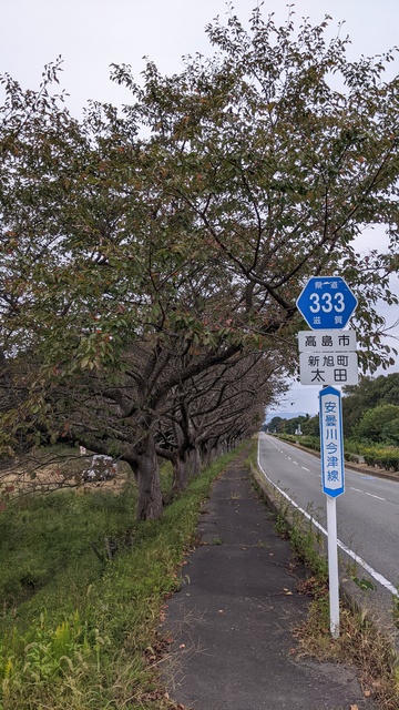 【滋賀県】六ツ矢崎浜オートキャンプ場（琵琶湖）／2023年秋雨のバックパック自転車キャンプ