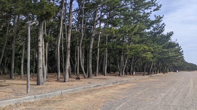 【和歌山】煙樹海岸キャンプ場／2024年冬の海バックパック徒歩キャンプ