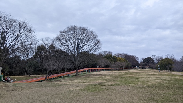 【京都府】友愛の丘／2024年節分＆立春バックパック徒歩キャンプ