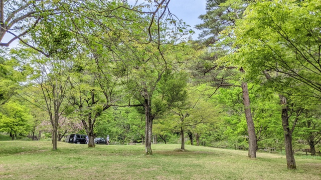 【滋賀県】マキノ高原キャンプ場＠奥琵琶湖／2024年千本桜バックパック徒歩キャンプ