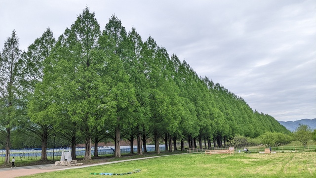 【滋賀県】マキノ高原キャンプ場＠奥琵琶湖／2024年千本桜バックパック徒歩キャンプ