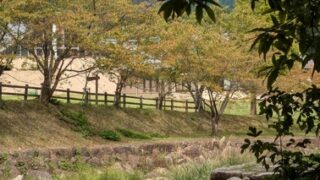 【滋賀県】マキノ高原キャンプ場@奥琵琶湖/2024年初秋の林間バックパック徒歩キャンプ再始動