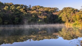【奈良県】くろんど池自然公園/2024年秋 幻想的な蒸気霧 バックパック徒歩キャンプ