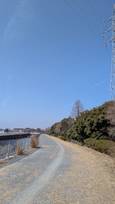 【大阪府】深北緑地/2025年梅見ソロ徒歩デイキャンプ