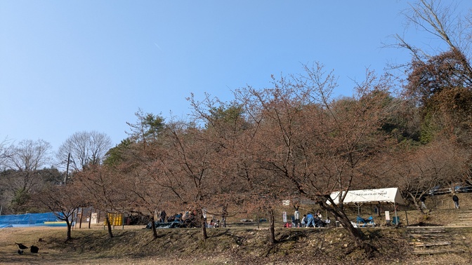 【京都府】くつわ池自然公園&キャンプ場/2025年早すぎた花見バックパック徒歩キャンプ