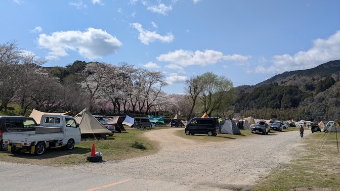 【京都府】笠置キャンプ場/2025年春バックパック桜キャンプ
