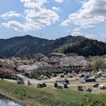 【京都府】笠置キャンプ場／2025年春バックパック桜キャンプ