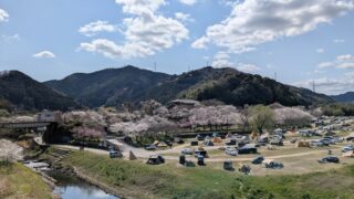 【京都府】笠置キャンプ場／2025年春バックパック桜キャンプ