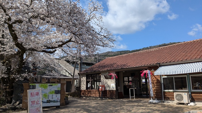 【京都府】笠置キャンプ場/2025年春バックパック桜キャンプ