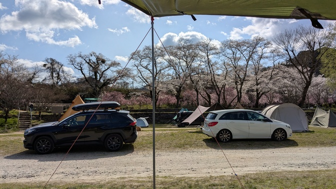 【京都府】笠置キャンプ場/2025年春バックパック桜キャンプ