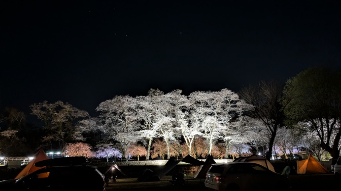 【京都府】笠置キャンプ場/2025年春バックパック桜キャンプ