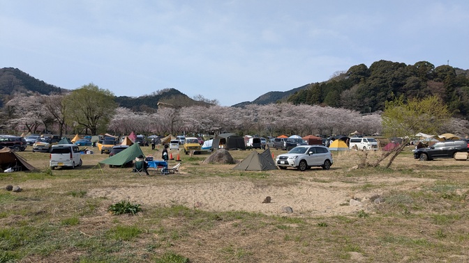 【京都府】笠置キャンプ場/2025年春バックパック桜キャンプ