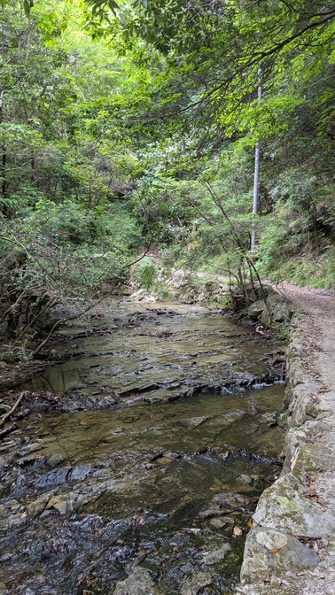 【兵庫県】KOBE川の音ベース/2025年梅雨直前の清流 バックパック徒歩キャンプ