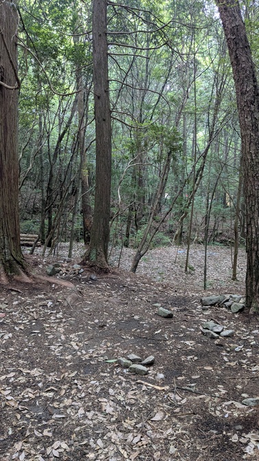【兵庫県】KOBE川の音ベース/2025年梅雨直前の清流 バックパック徒歩キャンプ