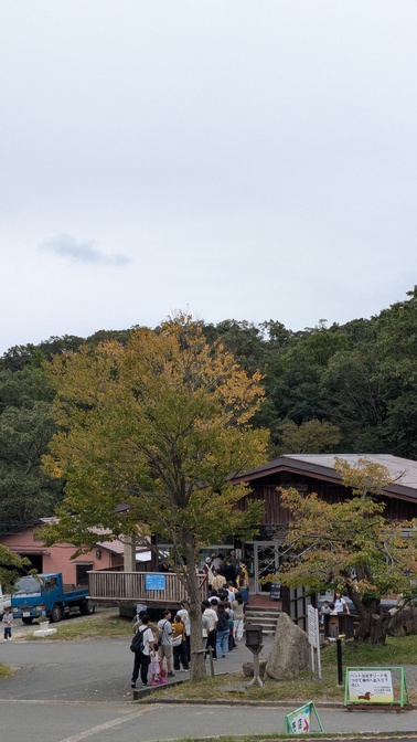 【滋賀県】マキノ高原キャンプ場＠奥琵琶湖／2025年初秋の林間バックパック徒歩キャンプ