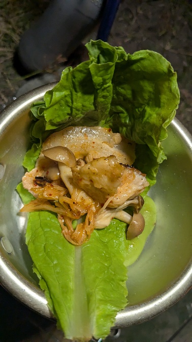 【滋賀県】六ツ矢崎浜オートキャンプ場@琵琶湖／2025年秋雨バックパック自転車キャンプ
