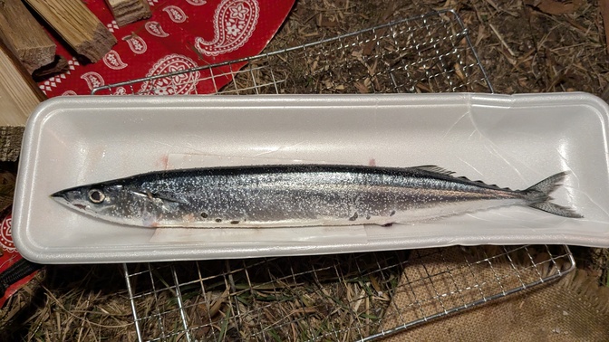 【奈良県】くろんど池自然公園@生駒山／2025年立冬バックパック徒歩キャンプ